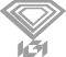 logo igi